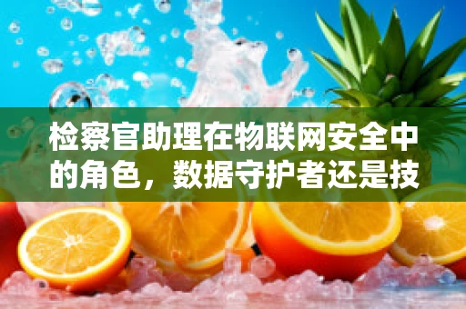 检察官助理在物联网安全中的角色，数据守护者还是技术桥梁？