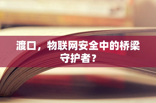 渡口，物联网安全中的桥梁守护者？