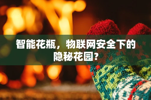 智能花瓶，物联网安全下的隐秘花园？