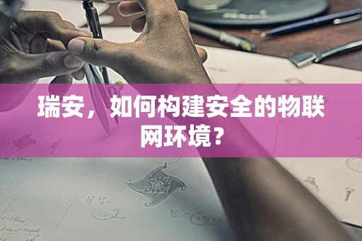 瑞安，如何构建安全的物联网环境？