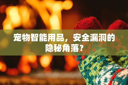 宠物智能用品，安全漏洞的隐秘角落？