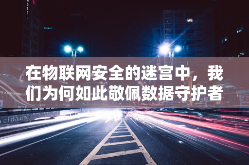 在物联网安全的迷宫中，我们为何如此敬佩数据守护者？