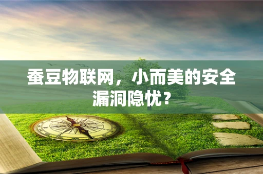 蚕豆物联网，小而美的安全漏洞隐忧？