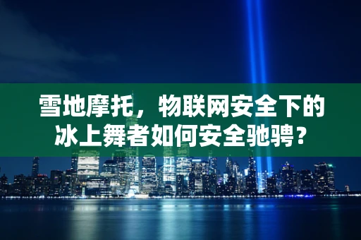 雪地摩托，物联网安全下的冰上舞者如何安全驰骋？