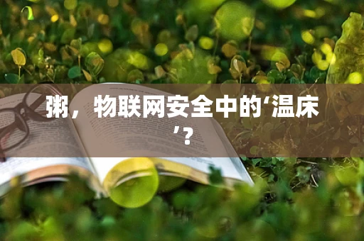 粥，物联网安全中的‘温床’？