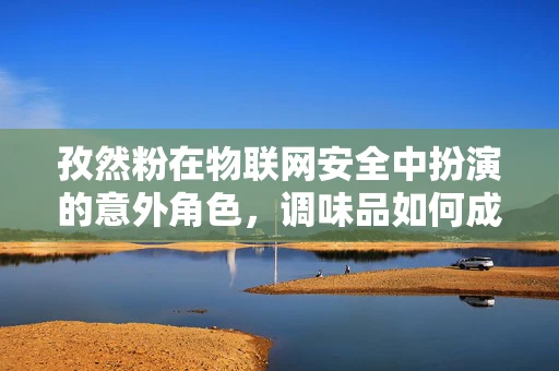 孜然粉在物联网安全中扮演的意外角色，调味品如何成为安全漏洞的催化剂？