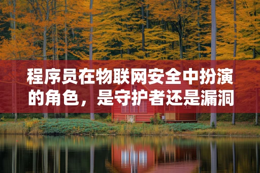 程序员在物联网安全中扮演的角色，是守护者还是漏洞创造者？