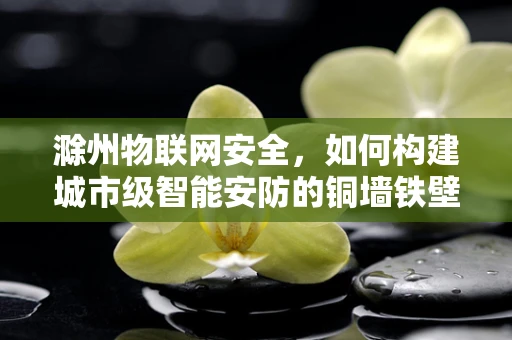滁州物联网安全，如何构建城市级智能安防的铜墙铁壁？