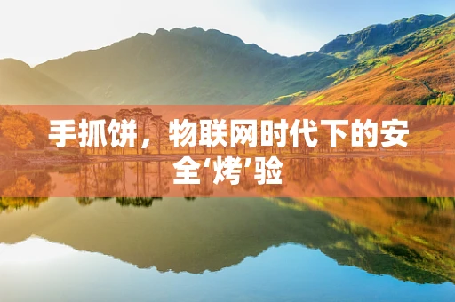 手抓饼，物联网时代下的安全‘烤’验