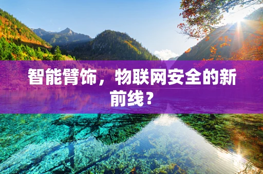 智能臂饰，物联网安全的新前线？