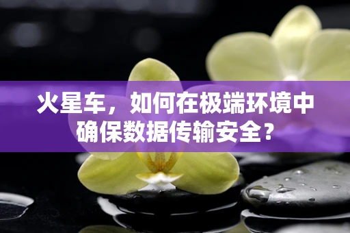 火星车，如何在极端环境中确保数据传输安全？