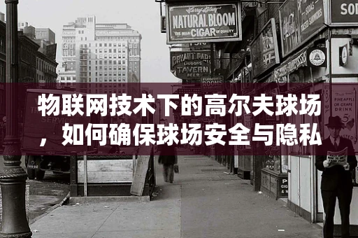 物联网技术下的高尔夫球场，如何确保球场安全与隐私的平衡？