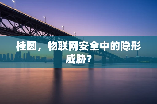 桂圆，物联网安全中的隐形威胁？