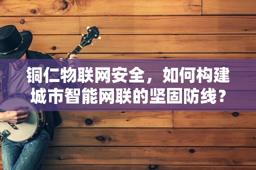 铜仁物联网安全，如何构建城市智能网联的坚固防线？