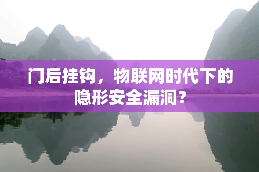 门后挂钩，物联网时代下的隐形安全漏洞？