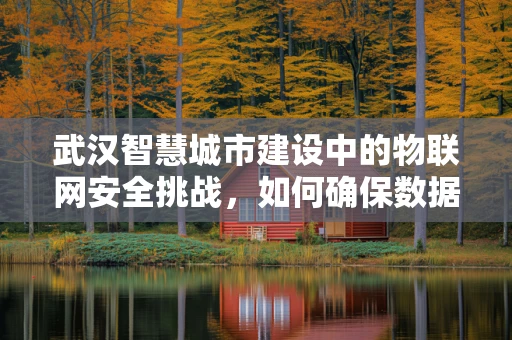 武汉智慧城市建设中的物联网安全挑战，如何确保数据不泄露城市秘密？