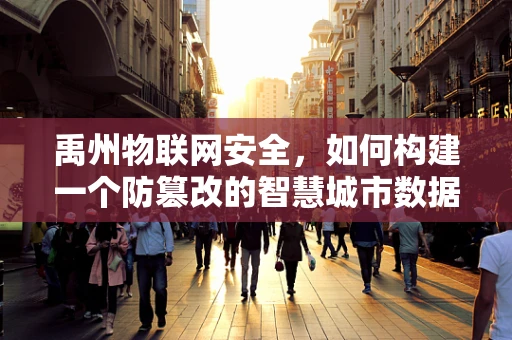 禹州物联网安全，如何构建一个防篡改的智慧城市数据传输网络？