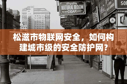 松滋市物联网安全，如何构建城市级的安全防护网？