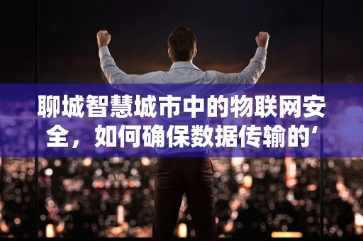 聊城智慧城市中的物联网安全，如何确保数据传输的‘零风险’？