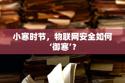 小寒时节，物联网安全如何‘御寒’？