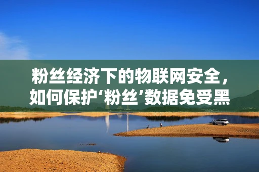 粉丝经济下的物联网安全，如何保护‘粉丝’数据免受黑客侵袭？