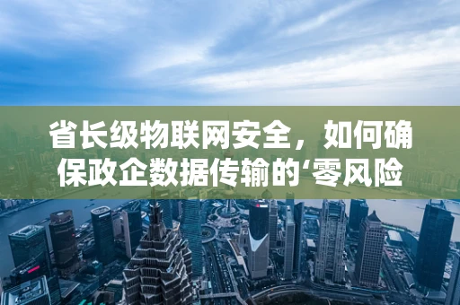 省长级物联网安全，如何确保政企数据传输的‘零风险’？