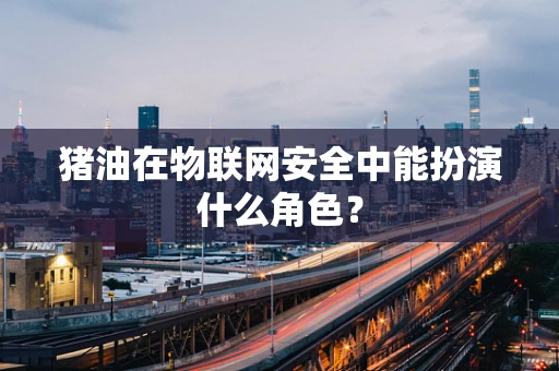 猪油在物联网安全中能扮演什么角色？