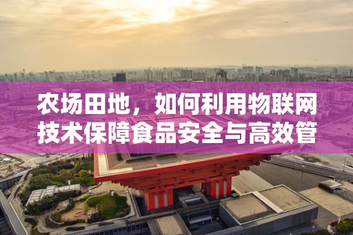 农场田地，如何利用物联网技术保障食品安全与高效管理？