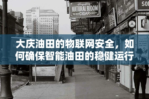 大庆油田的物联网安全，如何确保智能油田的稳健运行？