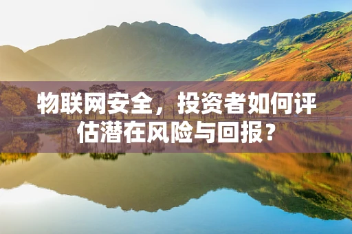 物联网安全，投资者如何评估潜在风险与回报？