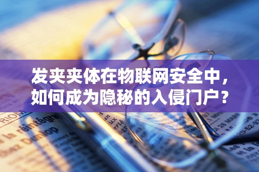 发夹夹体在物联网安全中，如何成为隐秘的入侵门户？