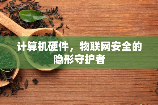 计算机硬件，物联网安全的隐形守护者