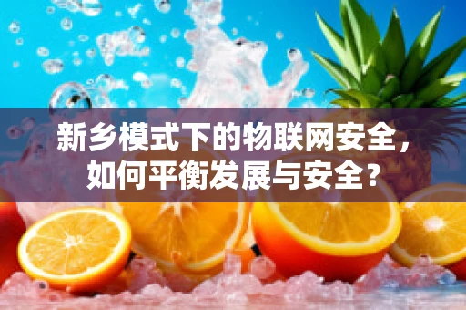新乡模式下的物联网安全，如何平衡发展与安全？