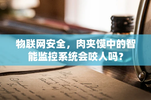 物联网安全，肉夹馍中的智能监控系统会咬人吗？
