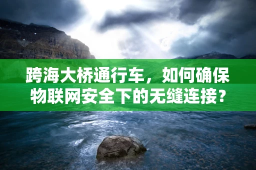 跨海大桥通行车，如何确保物联网安全下的无缝连接？