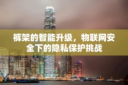 裤架的智能升级，物联网安全下的隐私保护挑战
