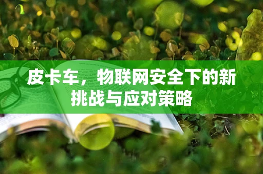 皮卡车，物联网安全下的新挑战与应对策略