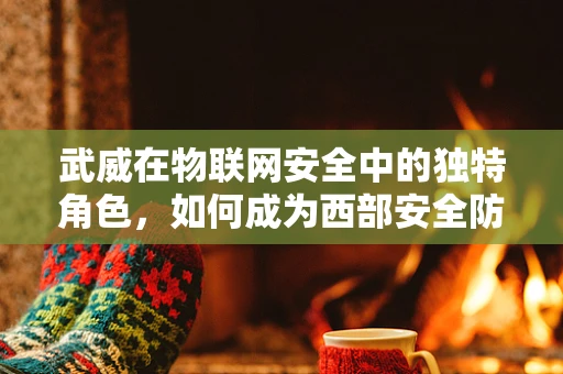 武威在物联网安全中的独特角色，如何成为西部安全防护的‘铜墙铁壁’？