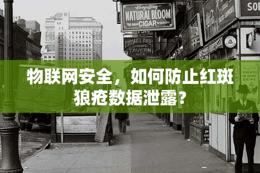 物联网安全，如何防止红斑狼疮数据泄露？