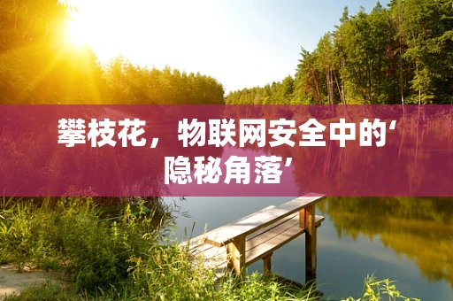 攀枝花，物联网安全中的‘隐秘角落’