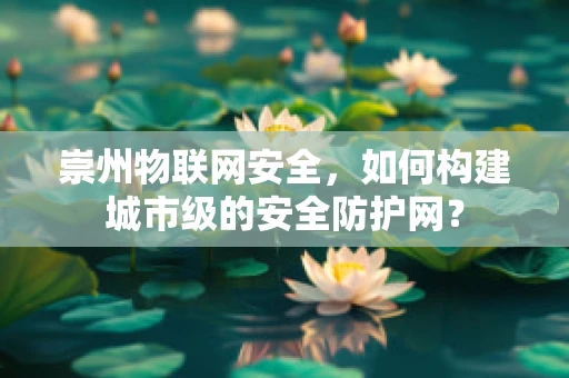 崇州物联网安全，如何构建城市级的安全防护网？
