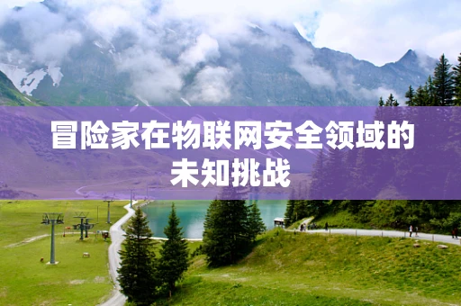 冒险家在物联网安全领域的未知挑战