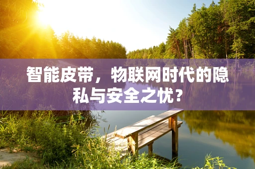 智能皮带，物联网时代的隐私与安全之忧？