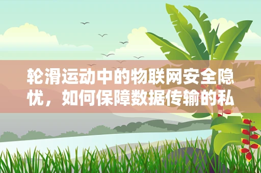 轮滑运动中的物联网安全隐忧，如何保障数据传输的私密与安全？