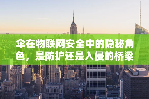伞在物联网安全中的隐秘角色，是防护还是入侵的桥梁？