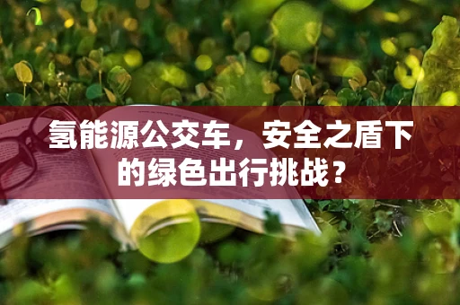 氢能源公交车，安全之盾下的绿色出行挑战？