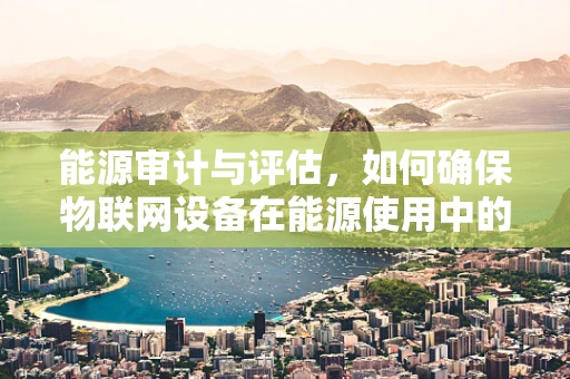 能源审计与评估，如何确保物联网设备在能源使用中的高效与安全？