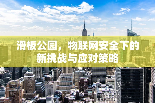 滑板公园，物联网安全下的新挑战与应对策略