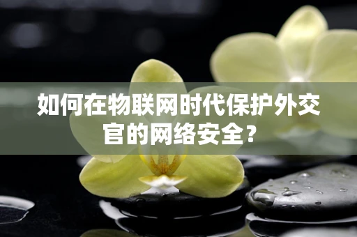如何在物联网时代保护外交官的网络安全？