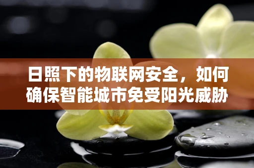 日照下的物联网安全，如何确保智能城市免受阳光威胁？